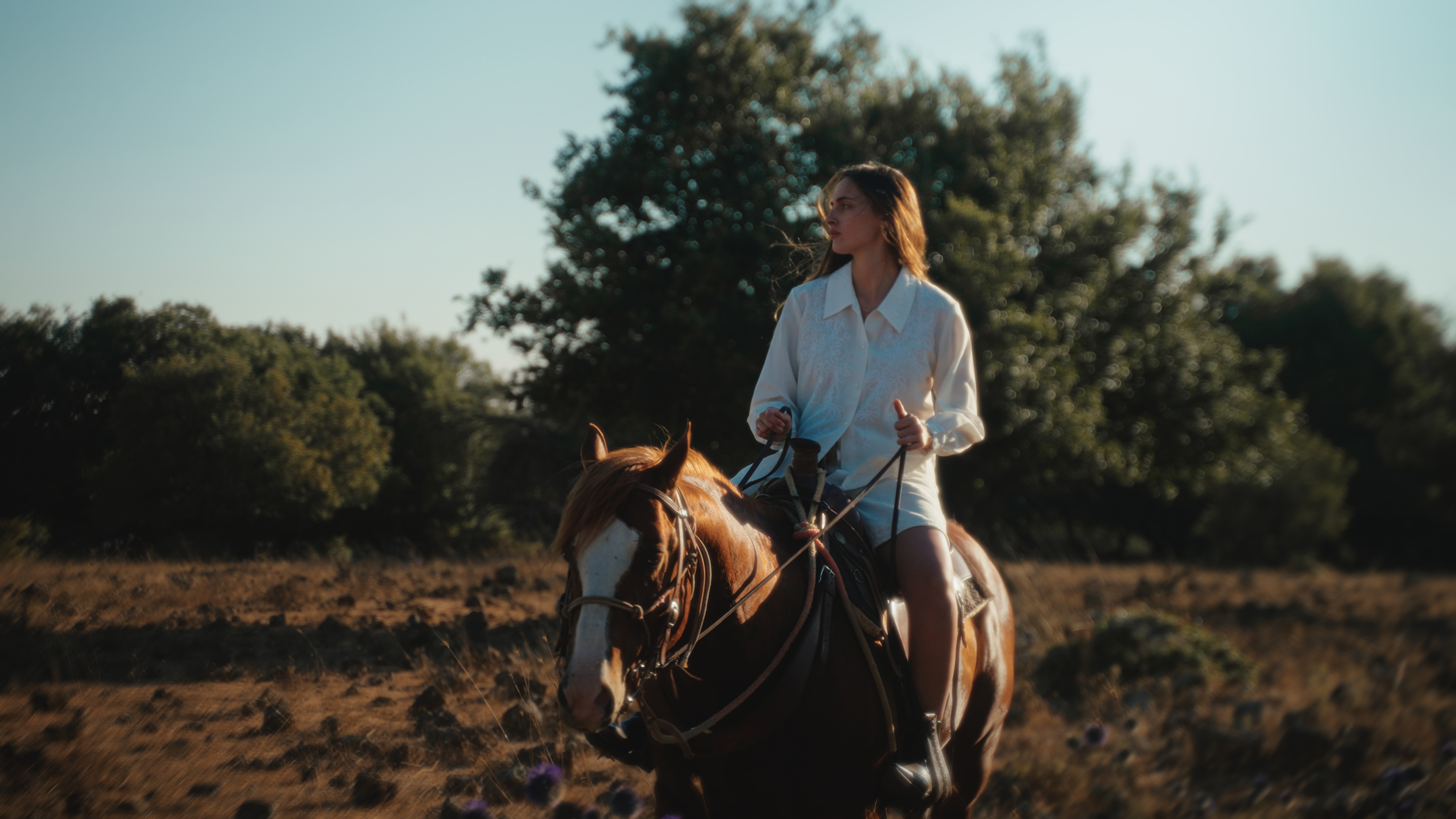 A rider on horseback in a field at golden hour